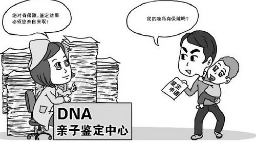 遂宁司法亲子鉴定流程是什么,遂宁司法亲子鉴定费用需要多少